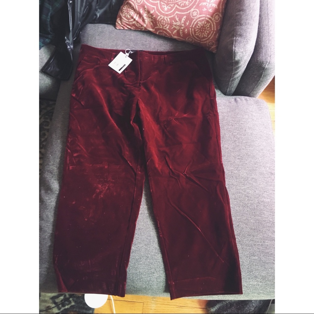 Wildfang Empower Velvet Crop Pants